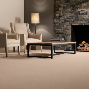 Sophistication Carpet