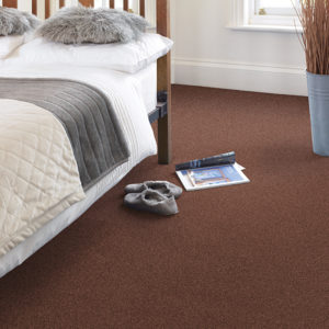 Stainfree Rustique Carpet