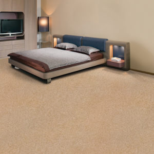 Cornell Carpet at Carpetwise