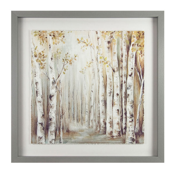 Sunset Birch Forest Picture