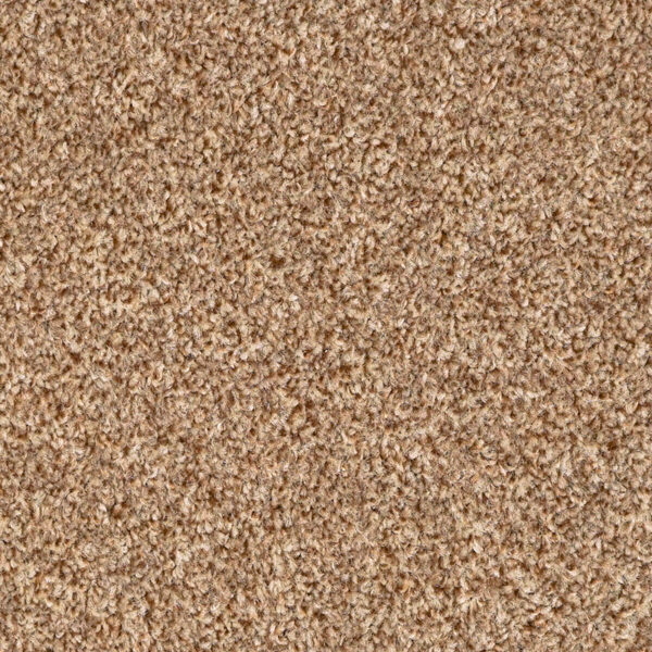 Terra Hazelnut Carpet