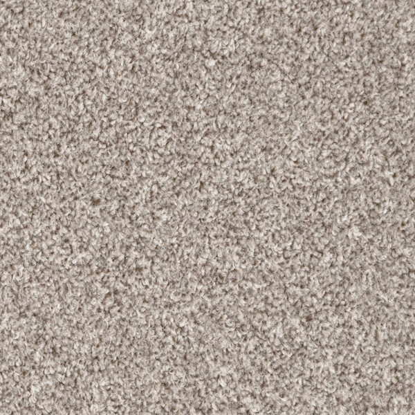 Terra Moleskin Carpet