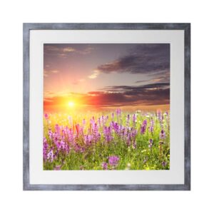 Sunset Over Marsh Orchids Picture