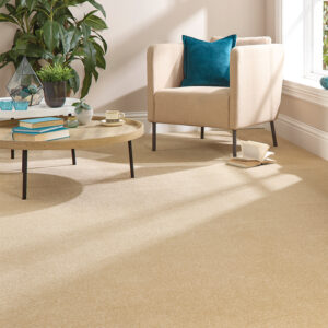 Stainfree Twist Carpet